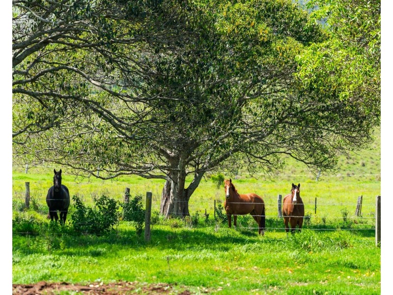 209 Pechey Forestry Road, Pechey QLD 4352