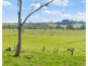 209 Pechey Forestry Road, Pechey QLD 4352