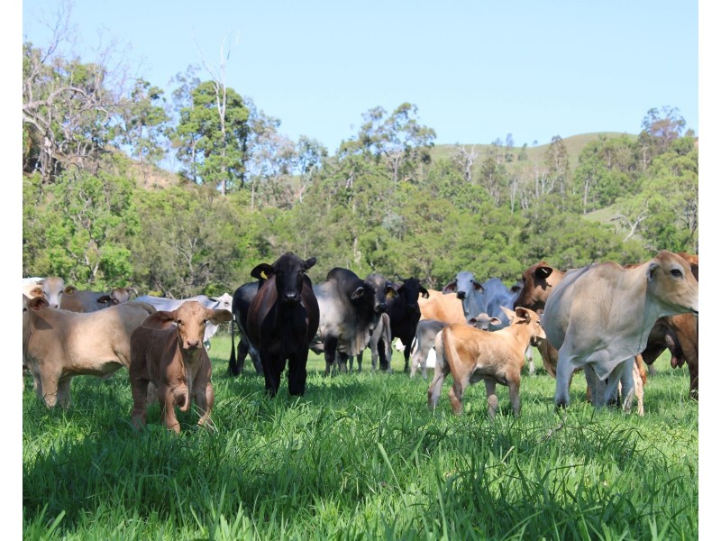 Simmonds Road, Tarome QLD 4309