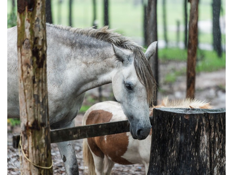 137 Koreelah Street, Upper Lockyer QLD 4352