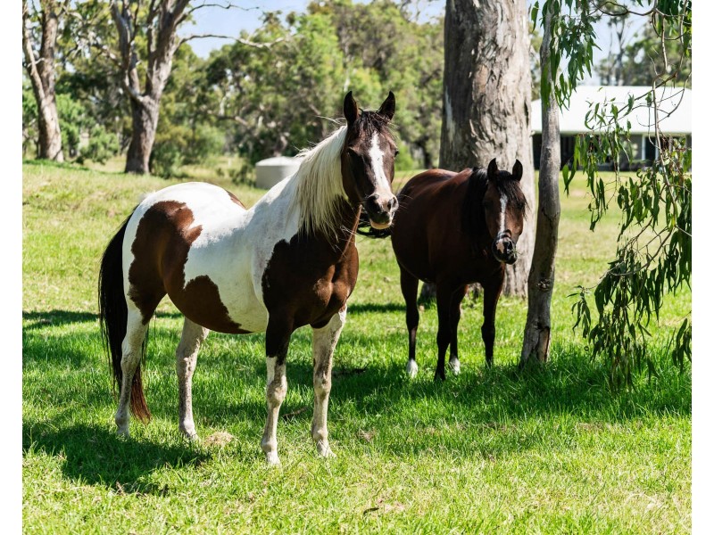 363 Woods Road, Ramsay QLD 4358