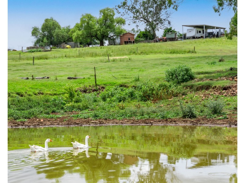 43 Harvey Road, Glenvale QLD 4350