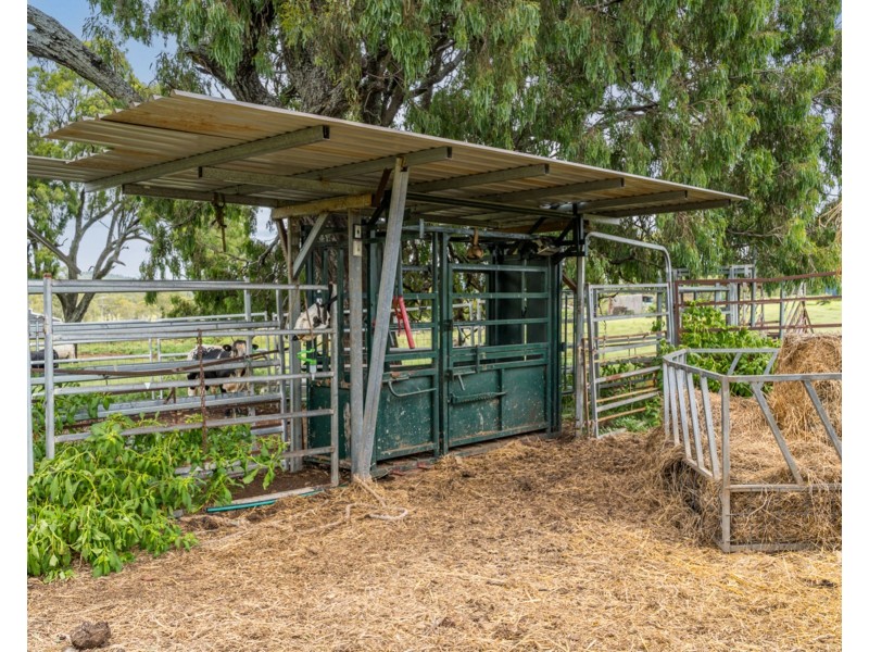 43 Harvey Road, Glenvale QLD 4350