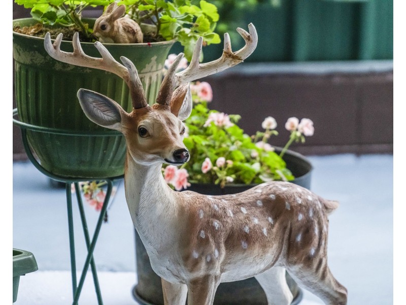 52 John Street, Goombungee QLD 4354