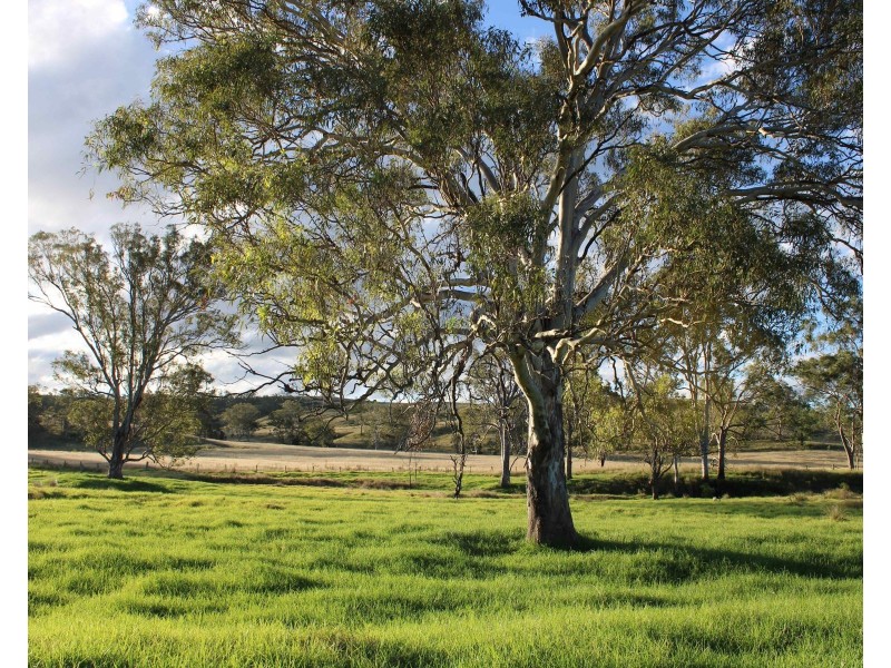 112 Pimpimbudgee Road, Pimpimbudgee QLD 4615