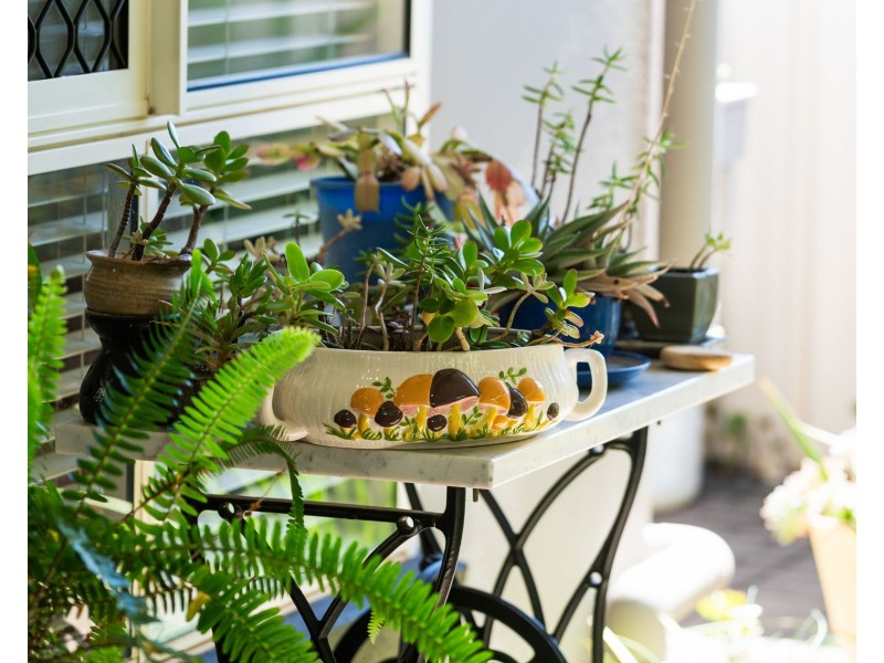 66/303 Spring Street, Kearneys Spring QLD 4350