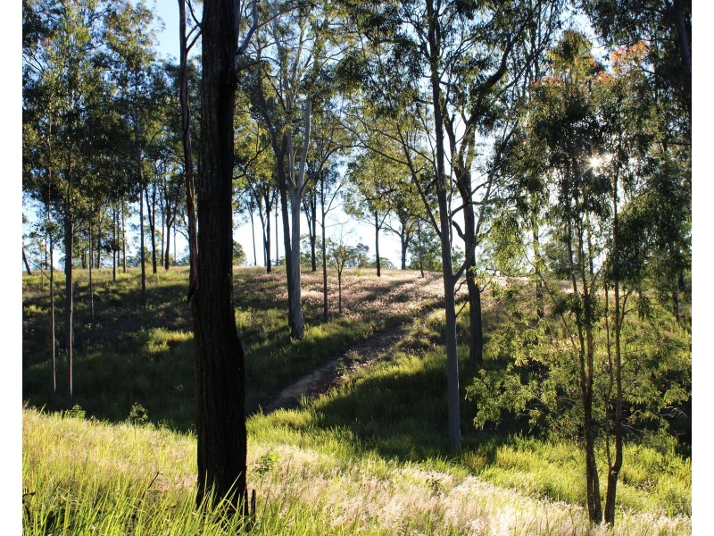 714 Fifteen Mile Road, Fifteen Mile QLD 4352