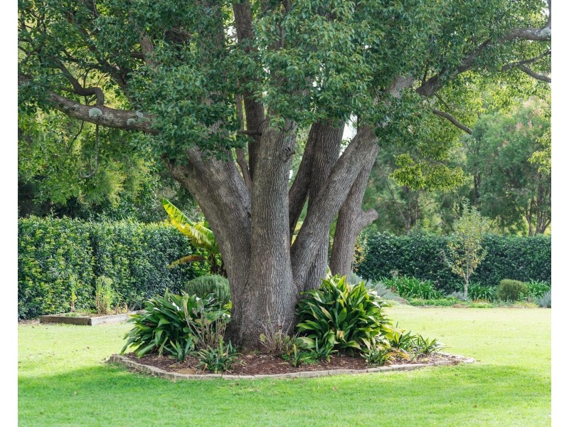 44 Kuhls Road, Highfields QLD 4352