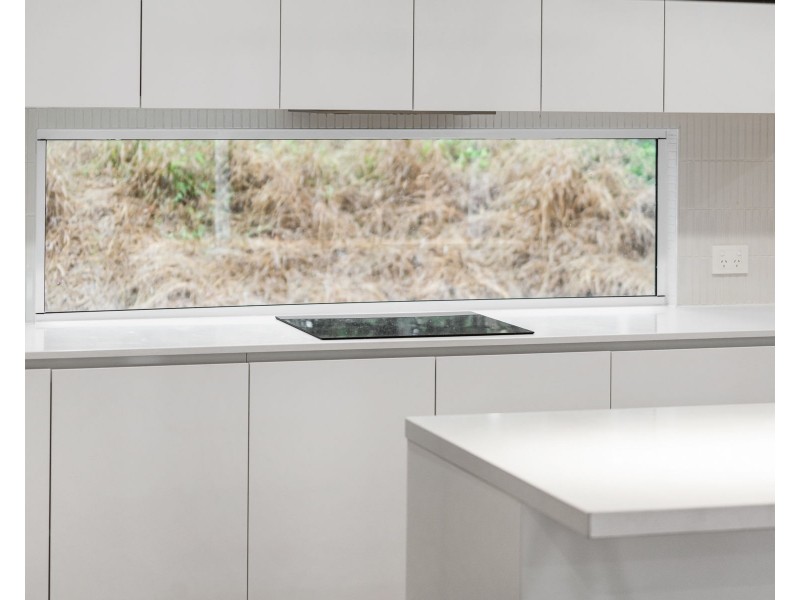 17 Elizabeth Street, Withcott QLD 4352