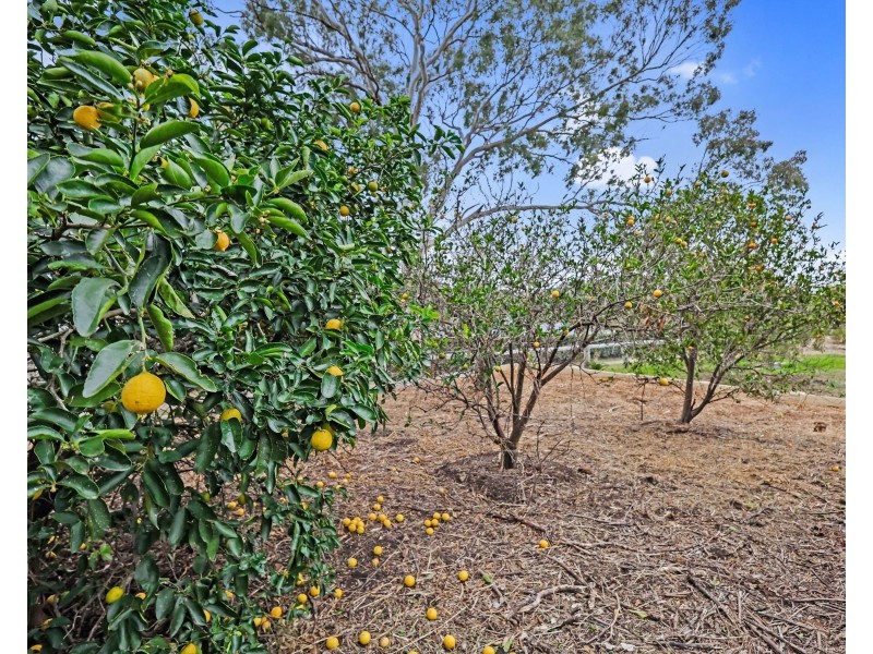 15 Harvey Court, Glenvale QLD 4350