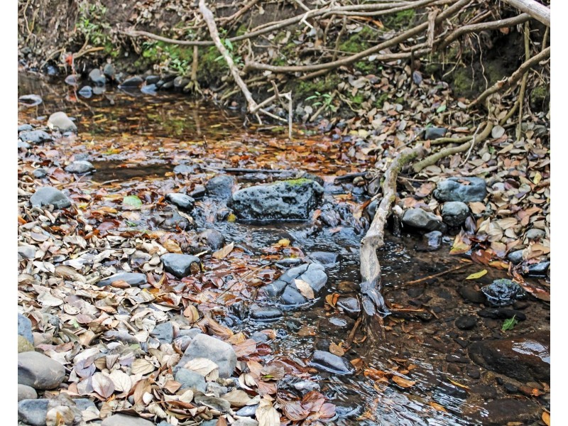 Lot 140 Kerwitz Road, Rosevale QLD 4340