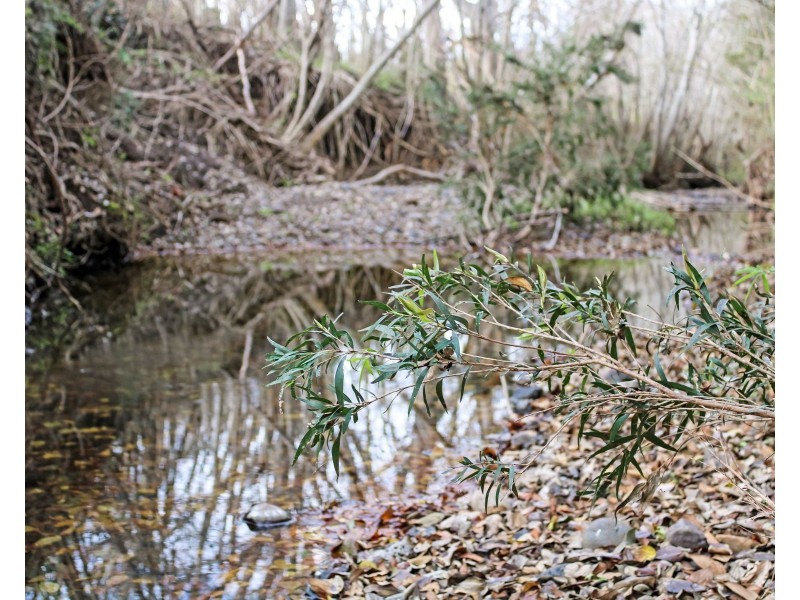 Lot 140 Kerwitz Road, Rosevale QLD 4340