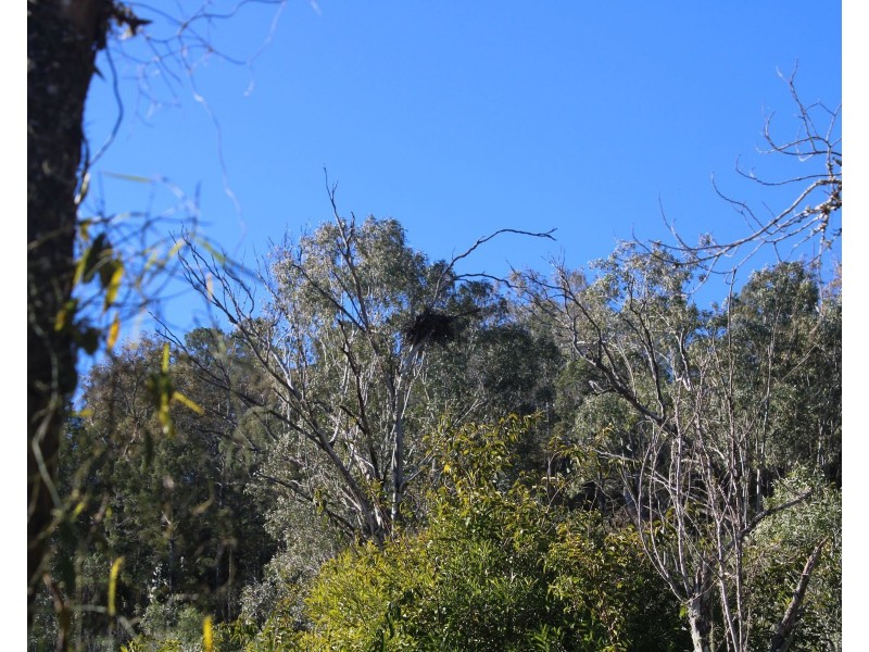 Lot 140 Chamberlins Yalangur Rd, Gowrie Little Plain QLD 4352