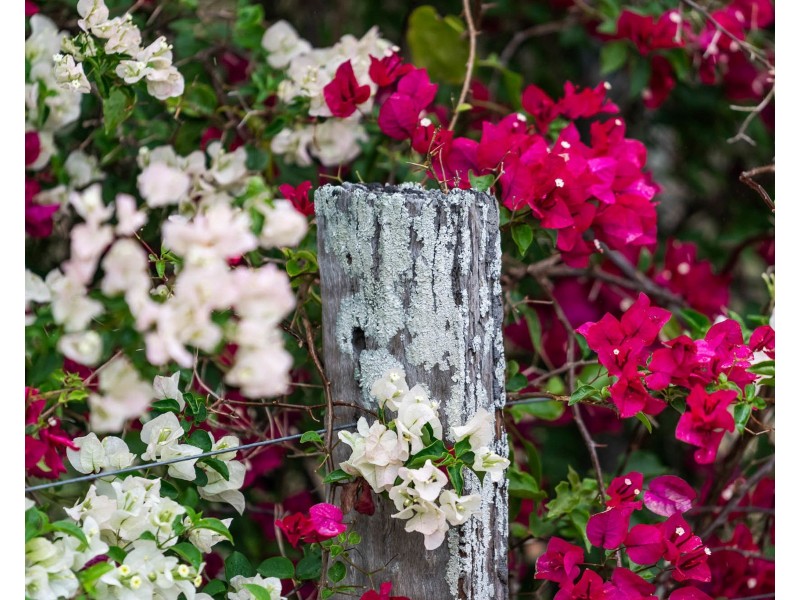 263 Douglas Road, Goombungee QLD 4354