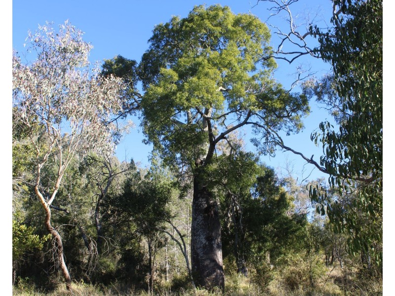 Lot 2432 Chamberlins Yalangur Rd, Gowrie Little Plain QLD 4352