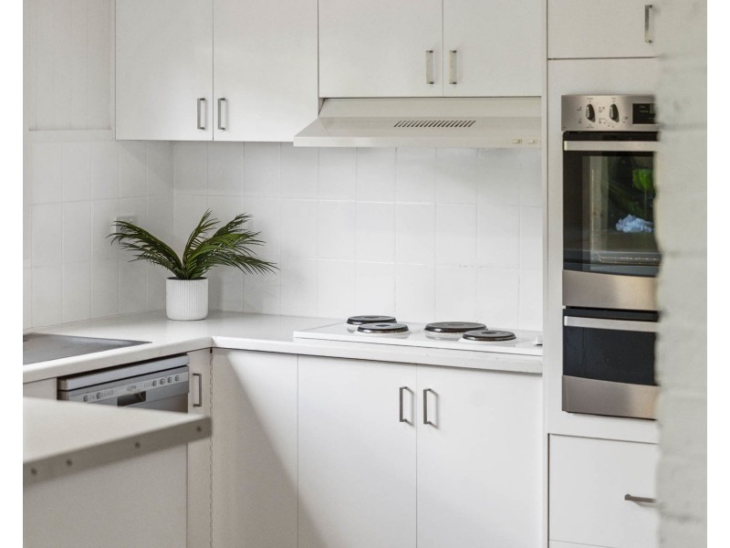 16 Orchid Street, Centenary Heights QLD 4350