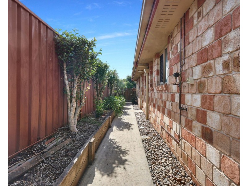 2 Japonica Street, Newtown QLD 4350