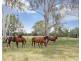 148 Alexander Lane, Harrisville QLD 4307
