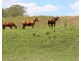 148 Alexander Lane, Harrisville QLD 4307