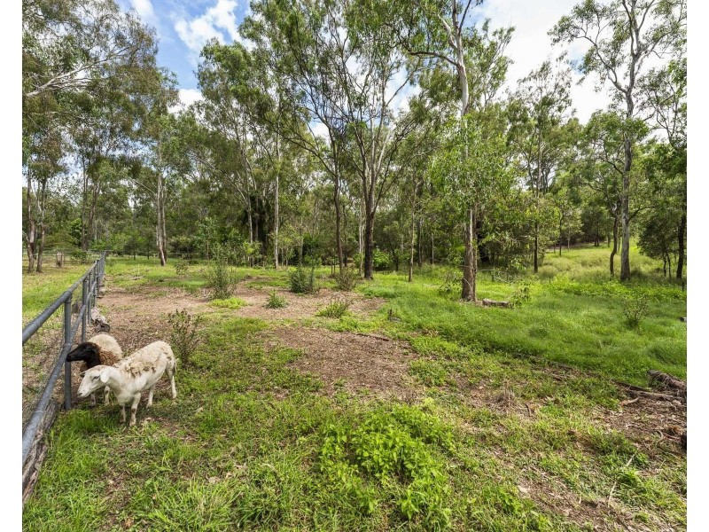 19 Plover Court, Laidley Heights QLD 4341