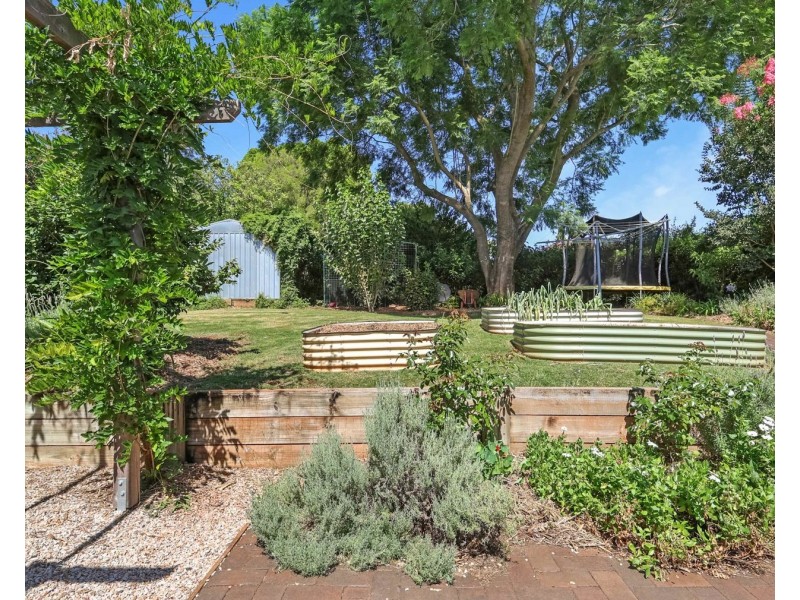 52 Cohoe Street, Rangeville QLD 4350