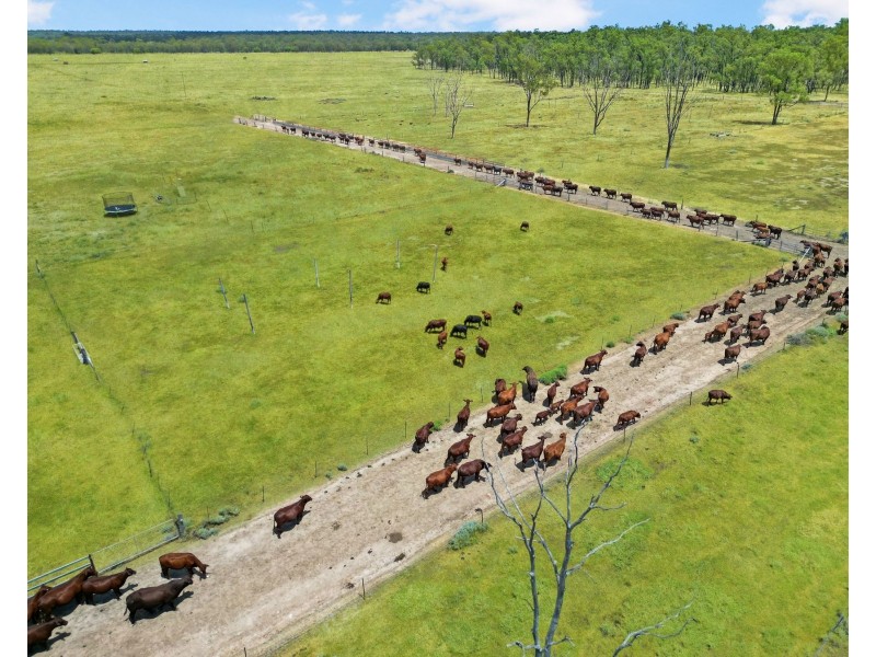 261 Krugers Road, Chinchilla QLD 4413