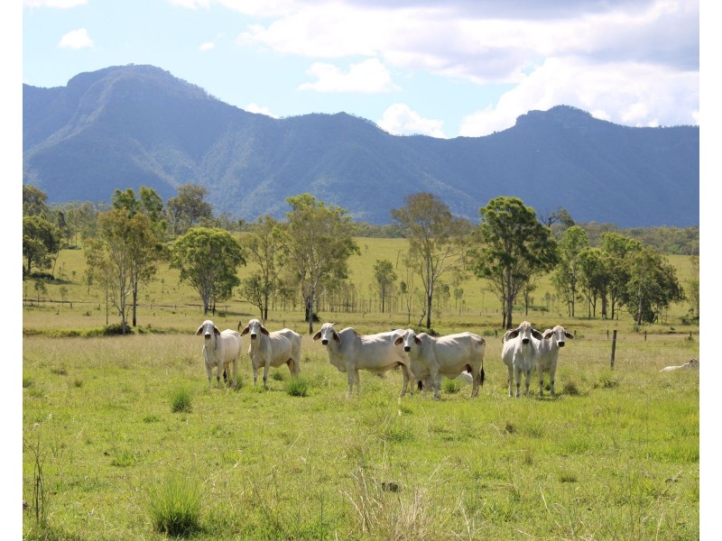 81 Simmonds Road, Tarome QLD 4309