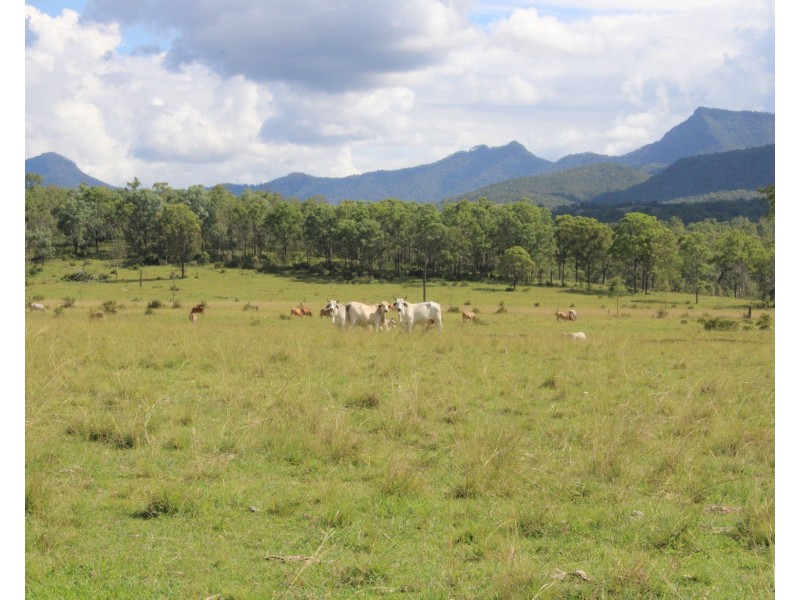 81 Simmonds Road, Tarome QLD 4309