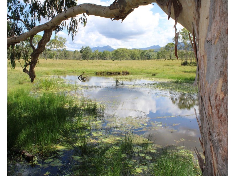 81 Simmonds Road, Tarome QLD 4309