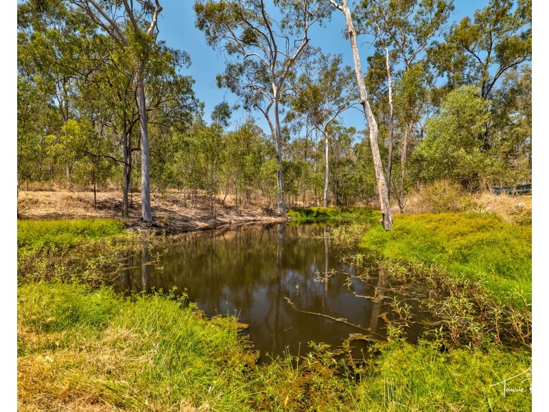 10 Wheatley Court, Regency Downs QLD 4341