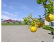 20 Isaac Street, Westbrook QLD 4350