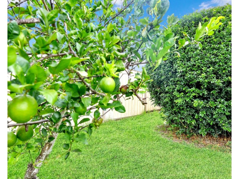 12 Jennifer Crescent, Darling Heights QLD 4350