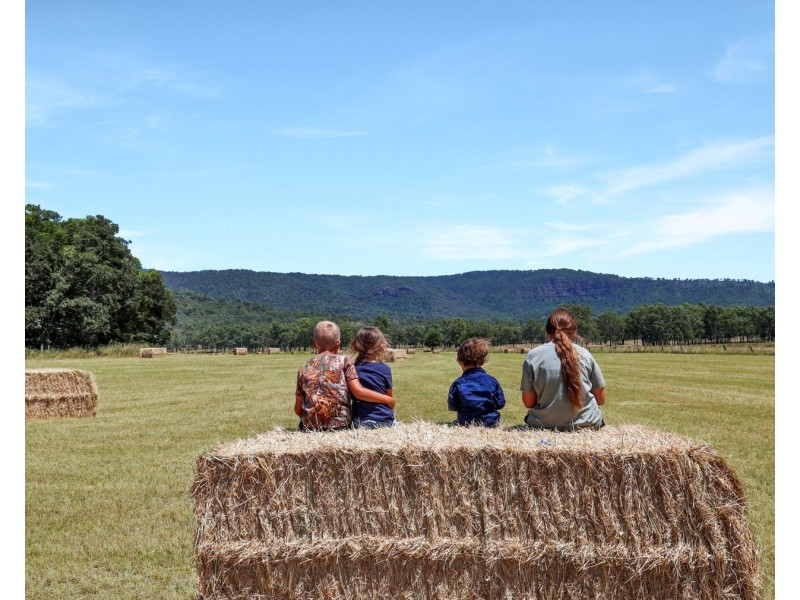 119 Kerwitz Road, Rosevale QLD 4340