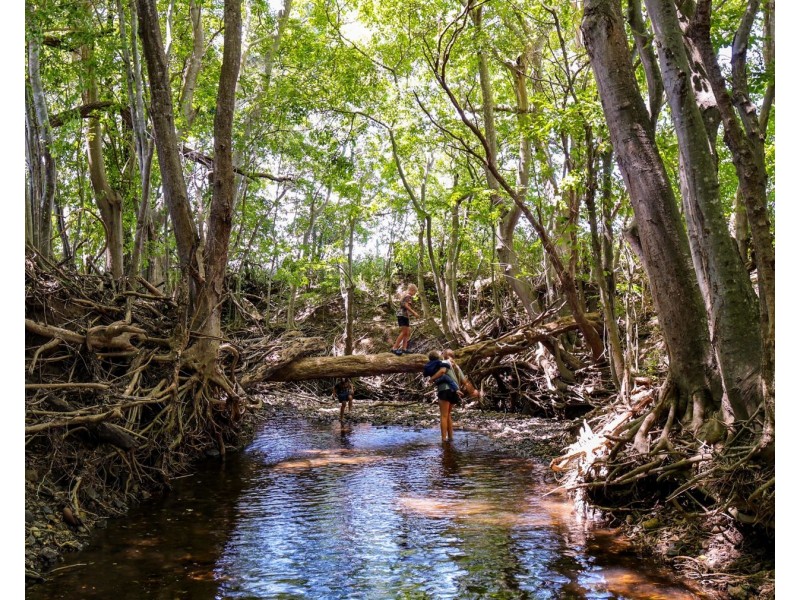 119 Kerwitz Road, Rosevale QLD 4340