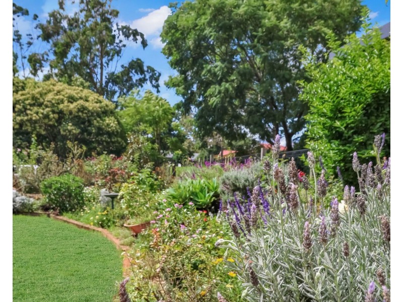 15 De Gruchy Court, Highfields QLD 4352