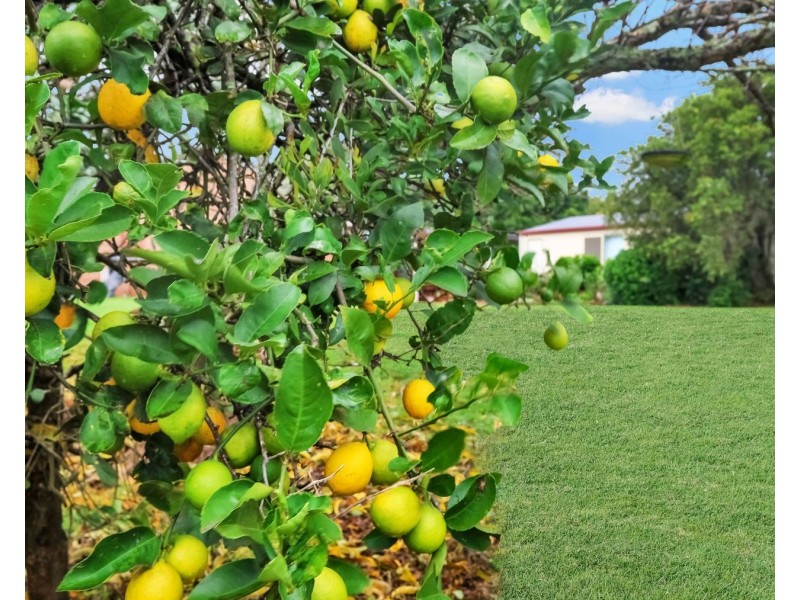 15 De Gruchy Court, Highfields QLD 4352