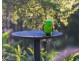 2 Jackson Close, Highfields QLD 4352