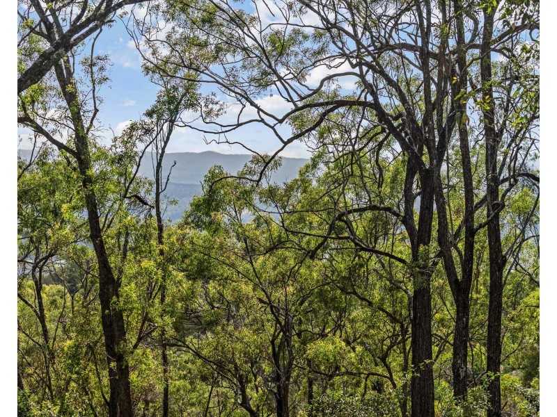 40 Berghofer Drive, Withcott QLD 4352