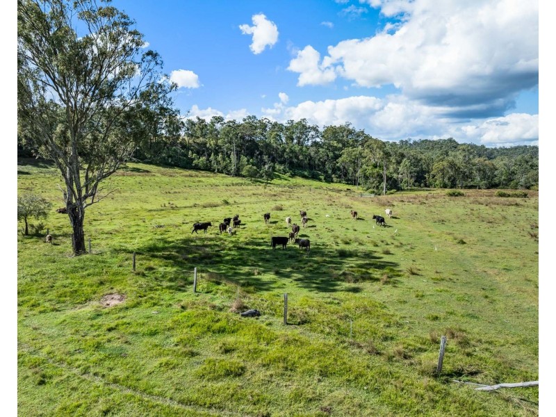 255 Gittins Road, Withcott QLD 4352