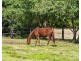 185 Murphys Creek Road, Postmans Ridge QLD 4352