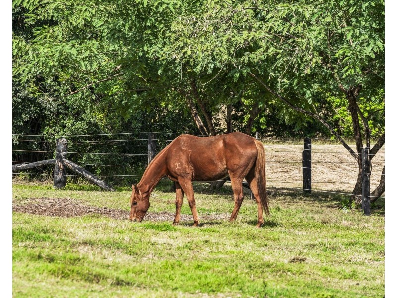 185 Murphys Creek Road, Postmans Ridge QLD 4352