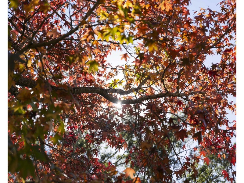 Lot 6 Castle Road, Cabarlah QLD 4352