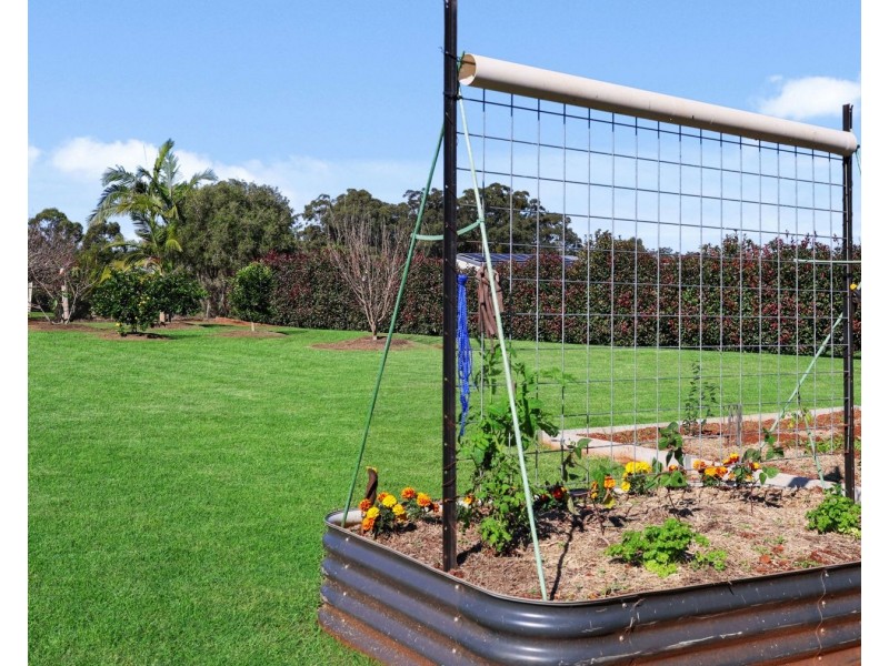 25 Holly Avenue, Highfields QLD 4352