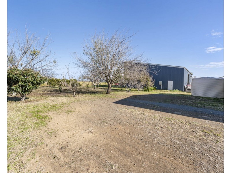 20 Grevillea Street, Pittsworth QLD 4356