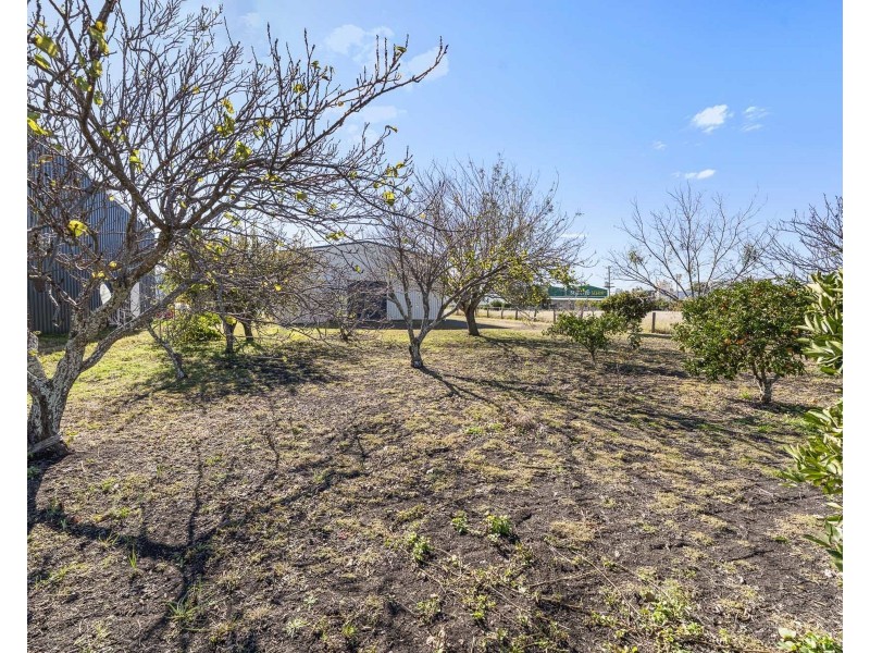 20 Grevillea Street, Pittsworth QLD 4356