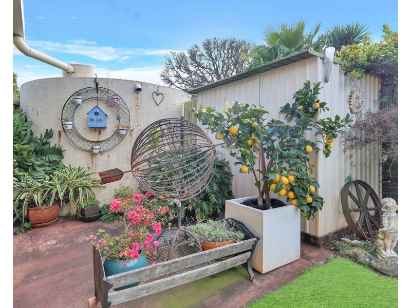 23 Prowse Street, Rockville QLD 4350