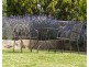 3 Whitman Street, Westbrook QLD 4350