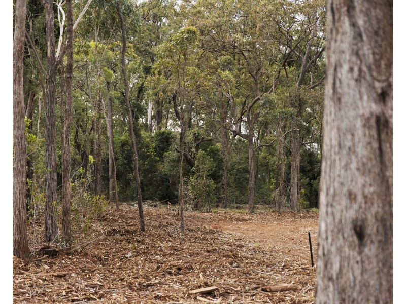 Lot 100 Mahs Court, Highfields QLD 4352