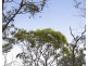 Lot 100 Mahs Court, Highfields QLD 4352