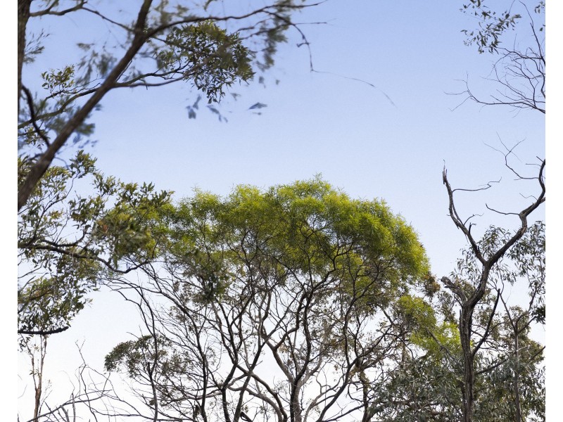 Lot 100 Mahs Court, Highfields QLD 4352